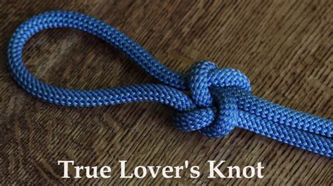 tudor lovers knots